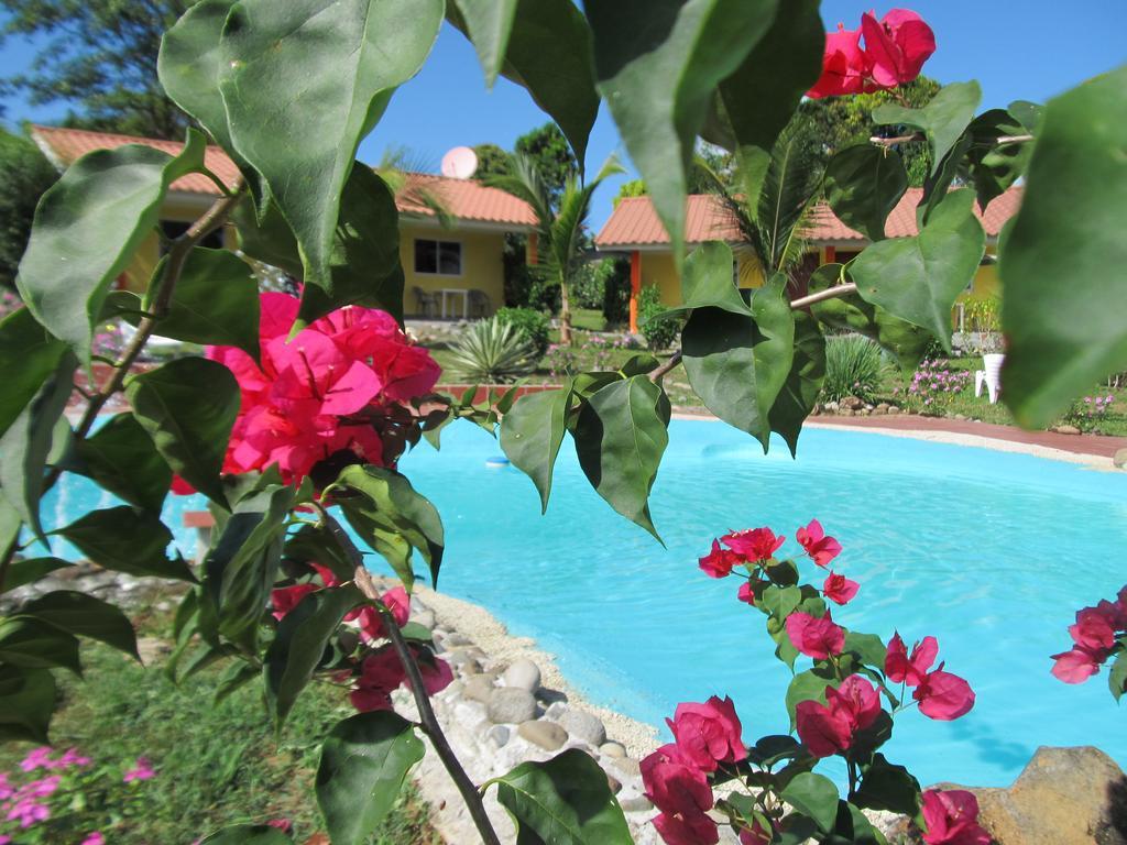 Residence Las Lajas Las Lajas  Exterior photo