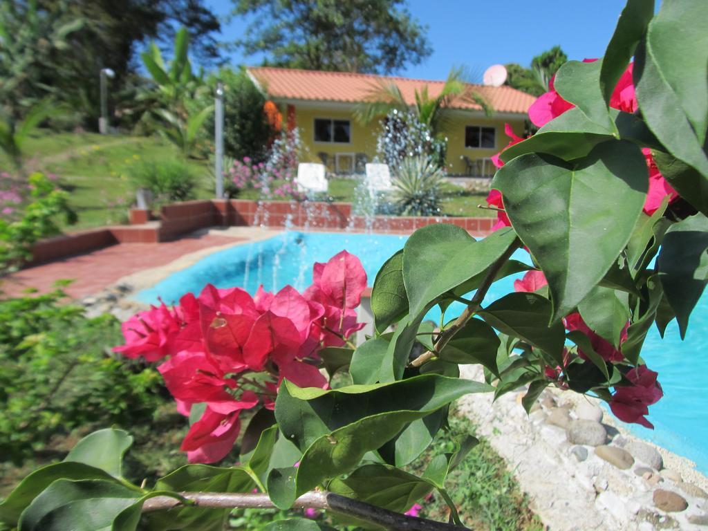Residence Las Lajas Las Lajas  Exterior photo